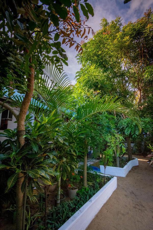 Comfort Beach Hotel Arugam Bay Bagian luar foto